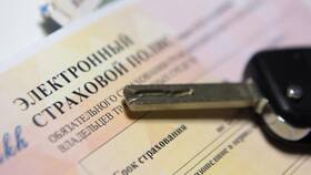 Алиса, что такое ОСАГО? в NL International
