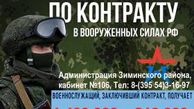 Чем занимается комитет по управлению муниципальным имуществом в NL International