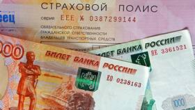 Что будет если поймают без страховки в NL International