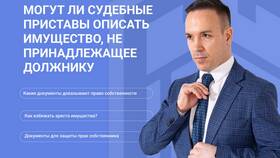 Что имеет право описывать судебный пристав в NL International