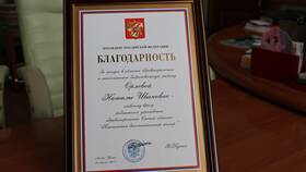 Что написать в письме Президенту в NL International