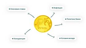 Что получают от вклада в NL International
