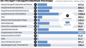 Что составляет расходы государства в NL International