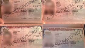 Что такое виза в Америку: полный обзор в NL International