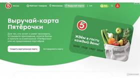 Что такое Выручай Карта в Пятерочке в NL International