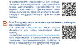 Что является доходом от труда в NL International