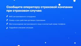 Что значит срок исполнения договора в NL International