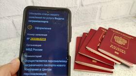 Как быстро оформить паспорт через Госуслуги в NL International