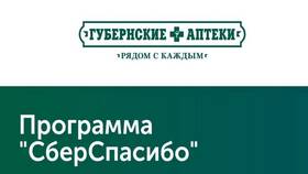 Как начисляются бонусы СберСпасибо в NL International