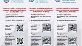 Как найти чек об оплате в ПСБ в NL International