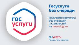 Как оформить постоянную регистрацию через Госуслуги в NL International