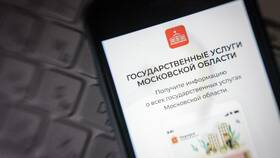 Как оформить социальную карту жителя Подмосковья через Госуслуги в NL International