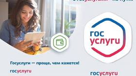 Как оформить выплату через Госуслуги в NL International