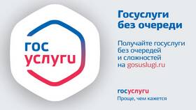 Как оформить вывоз мусора через Госуслуги в NL International