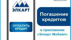 Как оплатить кредит через мобильное приложение в NL International