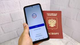 Как опровергнуть неверную информацию в личном кабинете Госуслуг в NL International