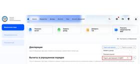 Как подать декларацию НДФЛ в NL International