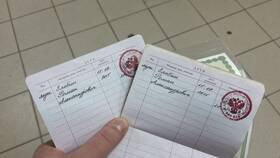 Как подать заявление на паспорт ребенку в NL International