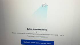 Как подать заявление на регистрацию через Госуслуги в NL International