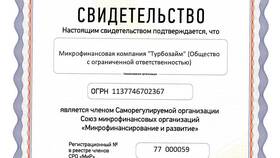 Как погасить займ в Турбозайм без комиссии в NL International