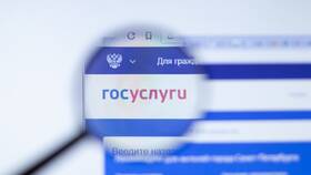 Как получить справку о стаже через Госуслуги в NL International