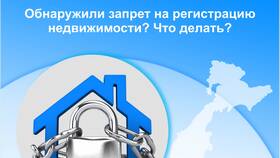 Как снять судебный запрет в NL International