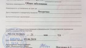Как узнать о выплатах по инвалидности в NL International