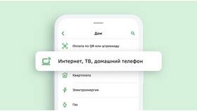 Почему не оплачивается через Сбербанк Онлайн в NL International