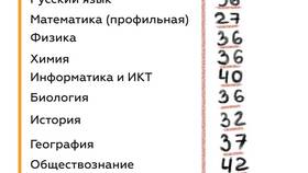 Почему нет результатов ОГЭ на Госуслугах в NL International