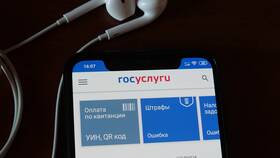 Почему сервис Госуслуги недоступен в NL International
