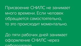 Почему СНИЛС не зеленый в NL International