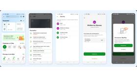 Почему Wildberries убрал рассрочку в 2025 году в NL International