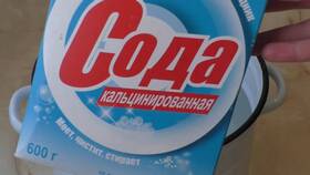 Сальск в Спрайсе: по чем продают тарелки в NL International