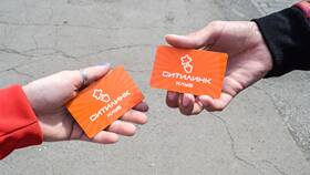 Ситилинк для юридических лиц: особенности работы в NL International