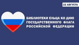 Триколор: что означает класс 8 в NL International