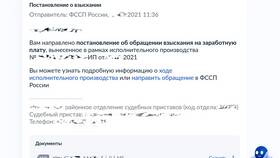 Зачем нужна справка об алиментах в NL International