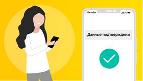Зачем ВКонтакте запрашивает паспортные данные в NL International